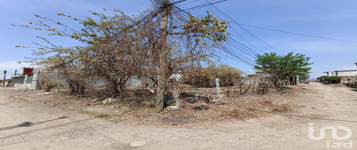 Foto de terreno habitacional en venta en fresno esquina margaritas , tetecolala, tepoztlán, morelos, 0 No. 05