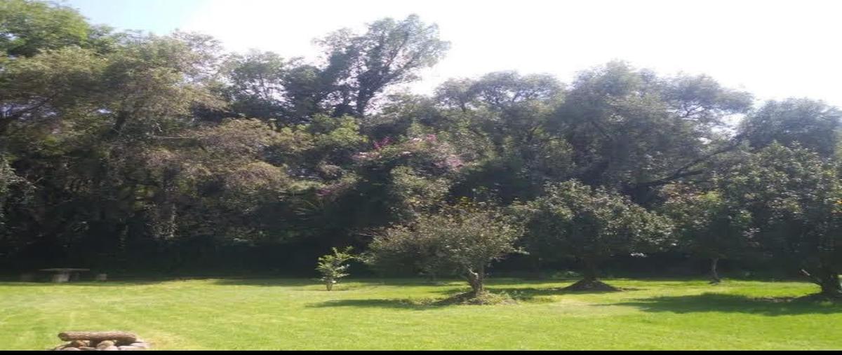 Foto de terreno habitacional en venta en fresno , praderas, tepeji del río de ocampo, hidalgo, 29218530 No. 03