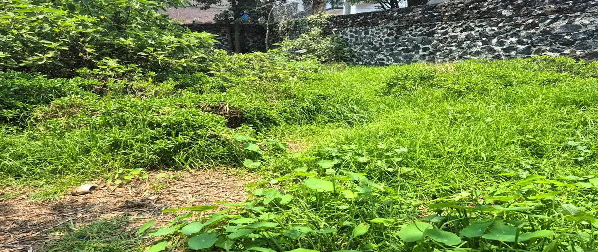 Foto de terreno comercial en renta en fresnos 17, chimilli, tlalpan, df / cdmx, 30287407 No. 04