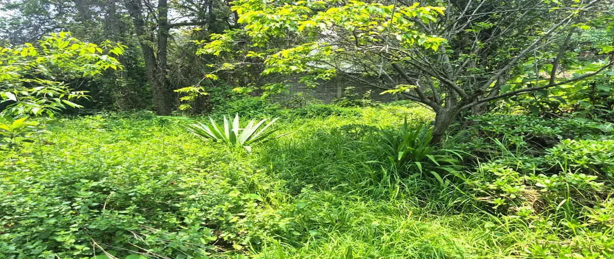 Foto de terreno comercial en renta en fresnos 17, chimilli, tlalpan, df / cdmx, 30287407 No. 05