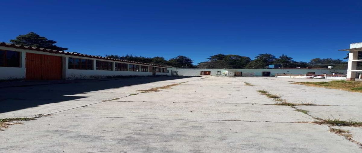 Foto de rancho en venta en fresnos , santa rita tlahuapan, tlahuapan, puebla, 0 No. 04