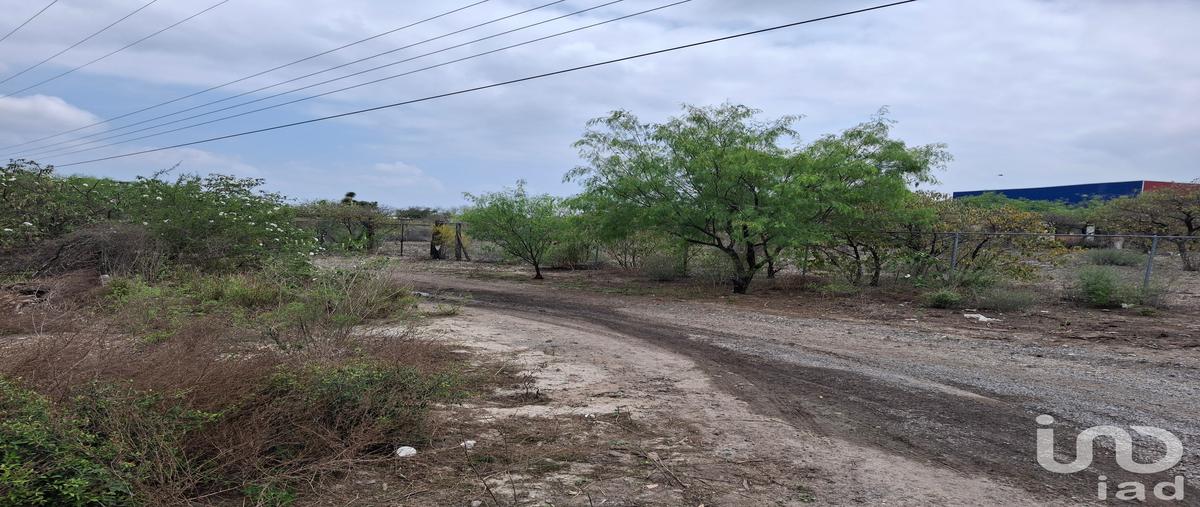 Foto de terreno habitacional en fresnos , villas campestres, ciénega de flores, nuevo león, 31009287 foto 04 Foto de terreno habitacional en venta en fresnos , villas campestres, ciénega de flores, nuevo león, 31009287 No. 04
