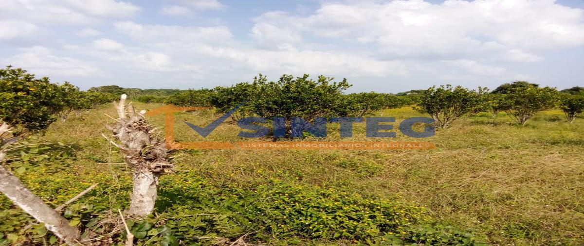 Foto de terreno habitacional en venta en  , frijolillo, tuxpan, veracruz de ignacio de la llave, 26310285 No. 04