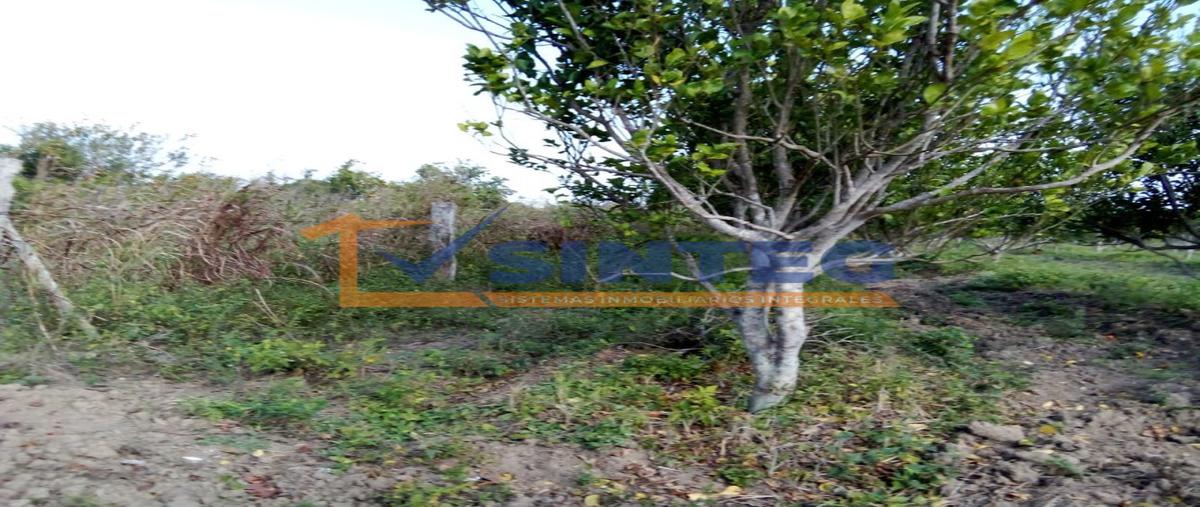 Foto de terreno habitacional en venta en  , frijolillo, tuxpan, veracruz de ignacio de la llave, 26310351 No. 03