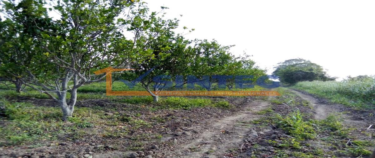 Foto de terreno habitacional en venta en  , frijolillo, tuxpan, veracruz de ignacio de la llave, 26310351 No. 04