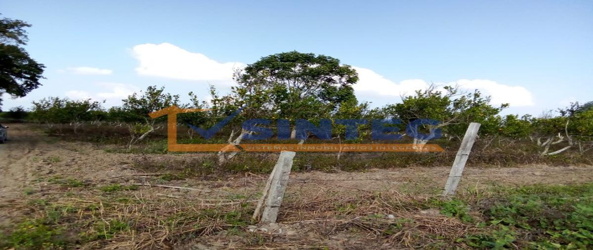 Foto de terreno habitacional en venta en  , frijolillo, tuxpan, veracruz de ignacio de la llave, 26310351 No. 05