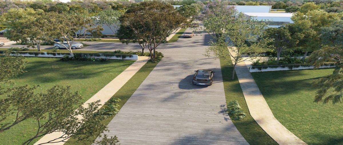 Foto de terreno habitacional en venta en frondeza , cabo norte, mérida, yucatán, 24023125 No. 03