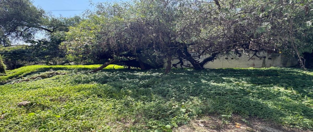 Foto de terreno industrial en venta en fuente de lilas , lomas de tecamachalco, naucalpan de juárez, méxico, 30984809 No. 05