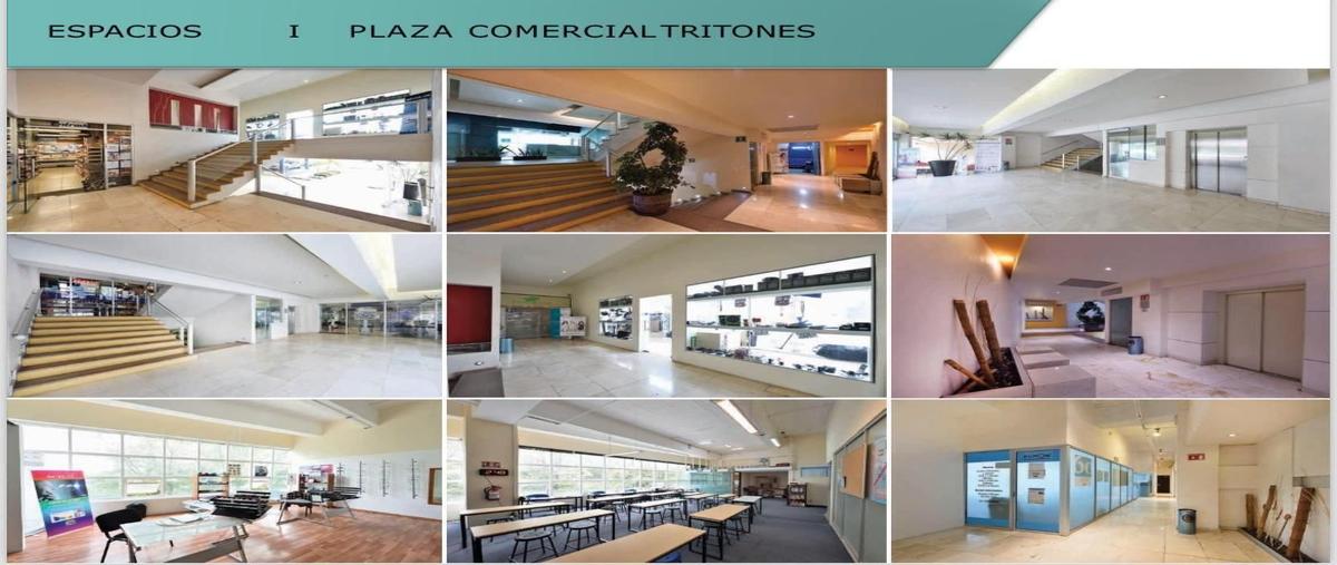 Foto de edificio en venta en fuente de tritones , reforma social (lomas de san isidro), naucalpan de juárez, méxico, 0 No. 04