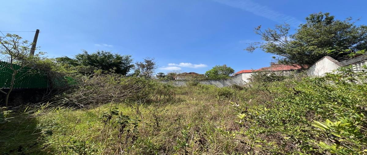 Foto de terreno habitacional en venta en  , fuentes de las ánimas, xalapa, veracruz de ignacio de la llave, 0 No. 05