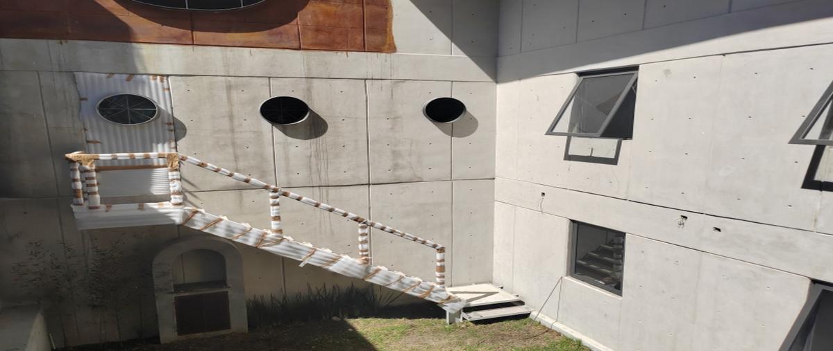 Foto de departamento en renta en fuentes de pidamides , lomas de tecamachalco, naucalpan de juárez, méxico, 31248289 No. 04