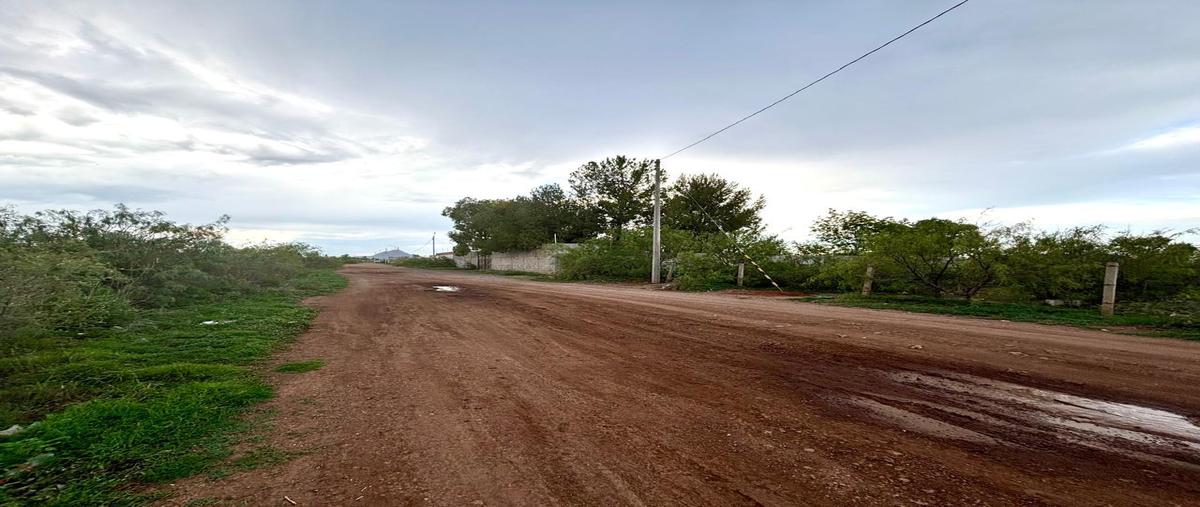 Foto de terreno habitacional en venta en  , fundadores, chihuahua, chihuahua, 30114284 No. 03