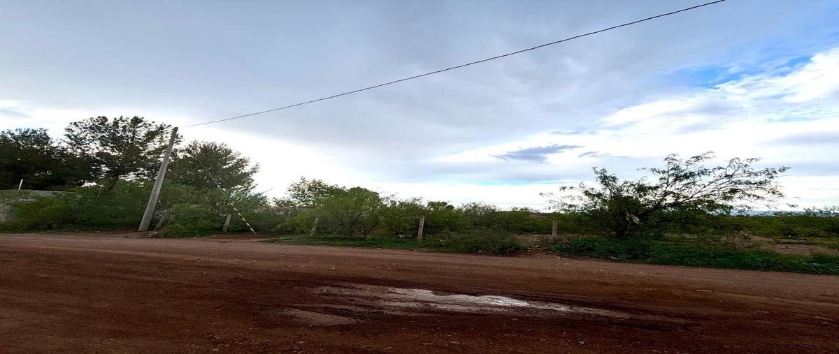 Foto de terreno habitacional en venta en  , fundadores, chihuahua, chihuahua, 30114284 No. 04