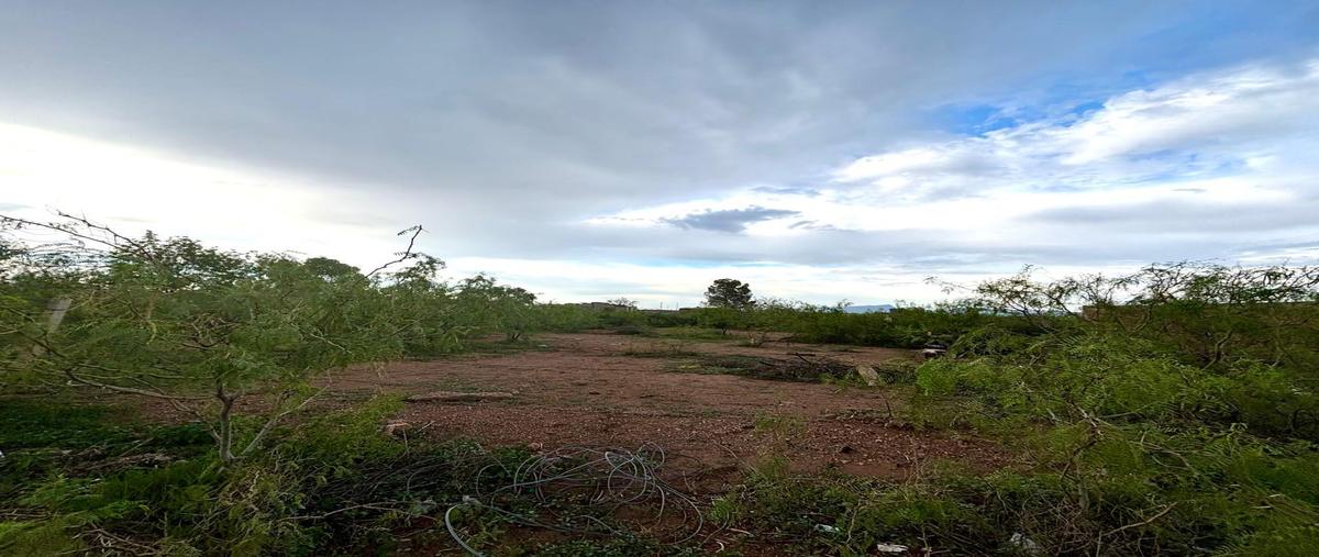Foto de terreno habitacional en venta en  , fundadores, chihuahua, chihuahua, 30114284 No. 05