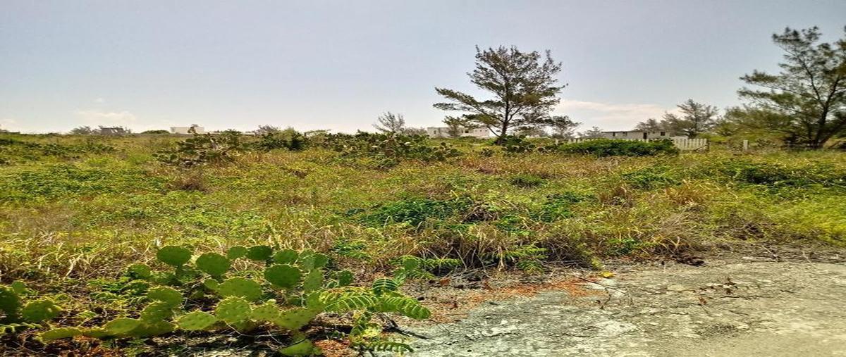 Foto de terreno habitacional en venta en  , fundadores, ciudad madero, tamaulipas, 30302171 No. 05