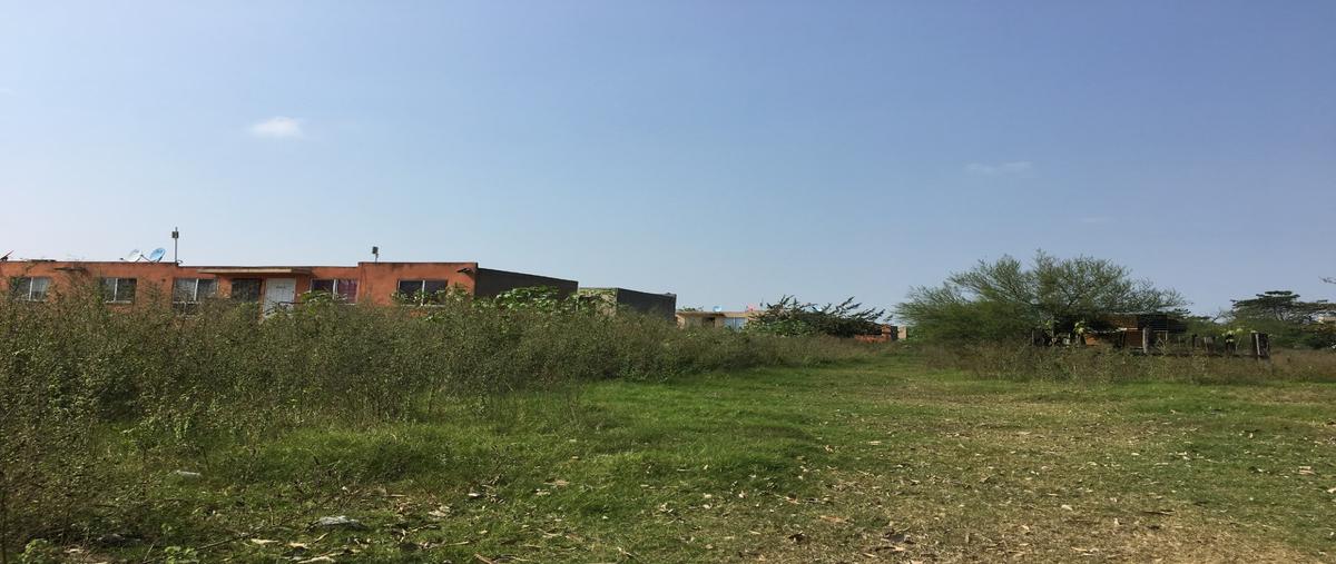 Foto de terreno comercial en fundo legal , altamira centro, altamira, tamaulipas, 25193929 foto 02 Foto de terreno comercial en renta en fundo legal , altamira centro, altamira, tamaulipas, 25193929 No. 02
