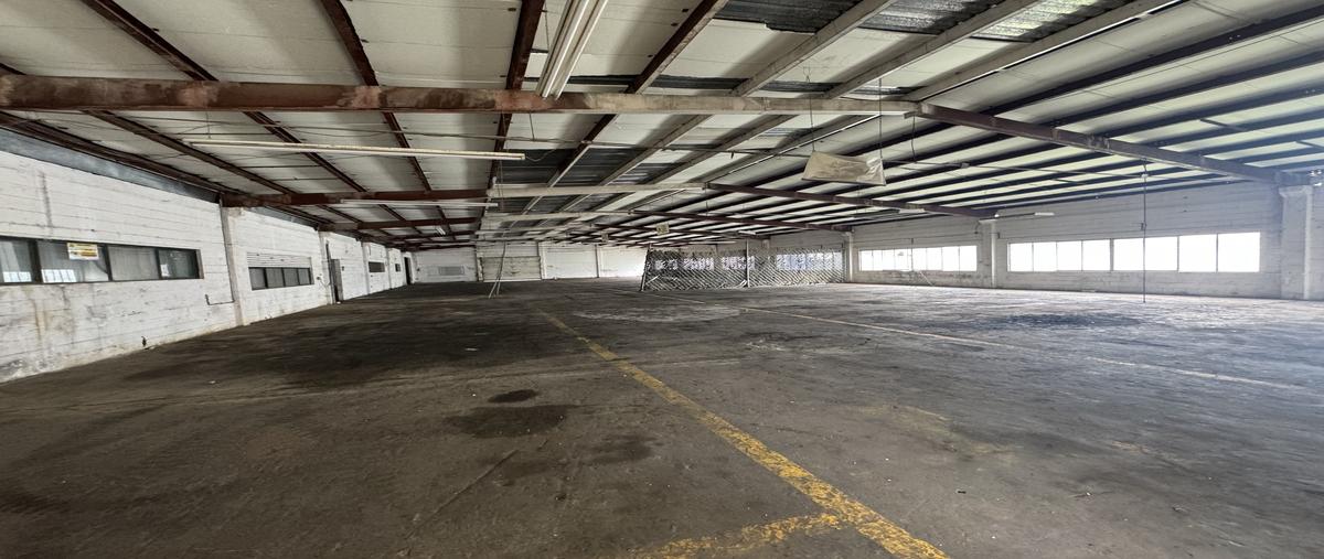 Foto de bodega en g , la fe, san nicolás de los garza, nuevo león, 30130578 foto 05 Foto de bodega en renta en g , la fe, san nicolás de los garza, nuevo león, 30130578 No. 05