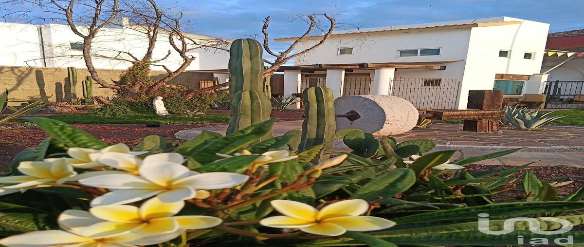 Foto de terreno habitacional en venta en gabriel garcía márquez 2996, san francisco de la charca, irapuato, guanajuato, 28725751 No. 07