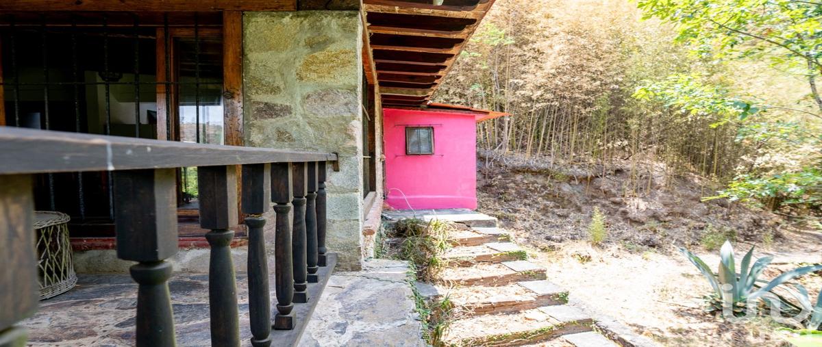 Foto de terreno habitacional en venta en gabriel lopez , telpintla, temascaltepec, méxico, 28720446 No. 05