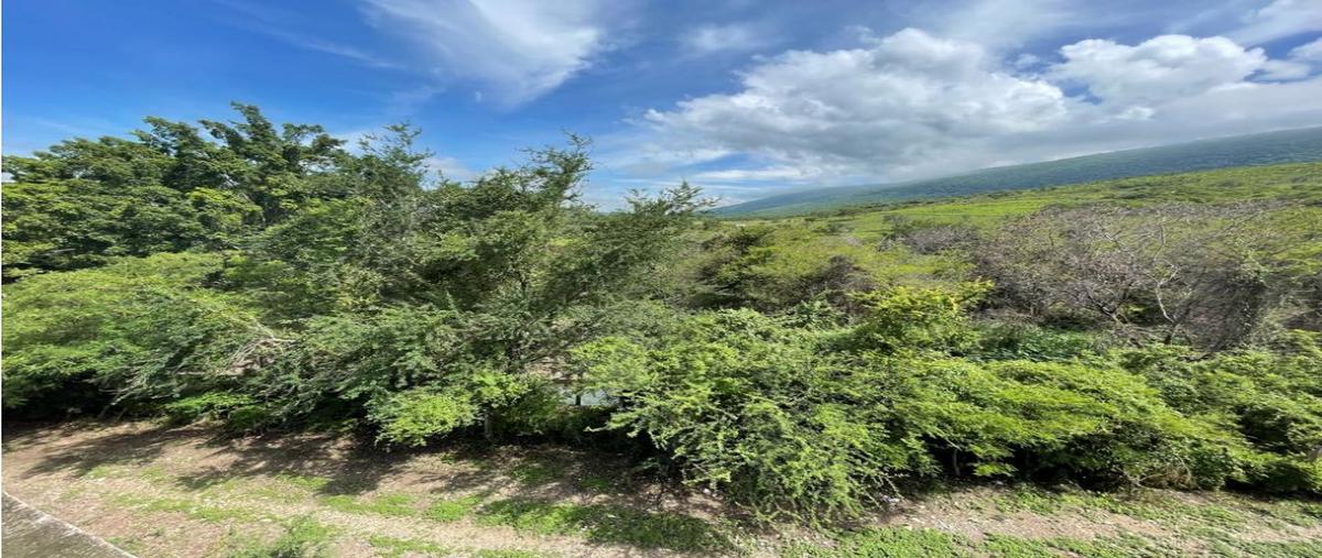Foto de terreno habitacional en venta en  , gabriel tepepa, tlaquiltenango, morelos, 24051923 No. 04