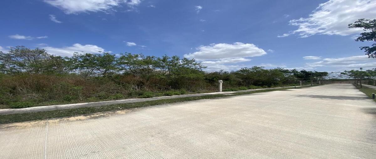 Foto de terreno habitacional en venta en gaeta , cabo norte, mérida, yucatán, 30293163 No. 04