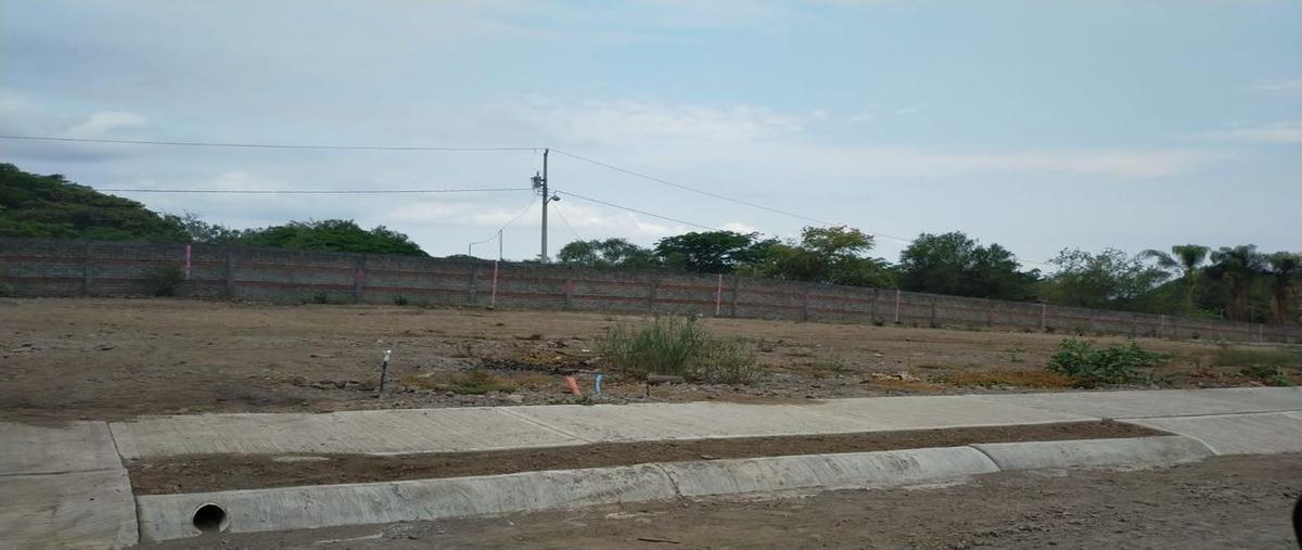 Foto de terreno habitacional en venta en galeana 0, suchitlán, comala, colima, 0 No. 04