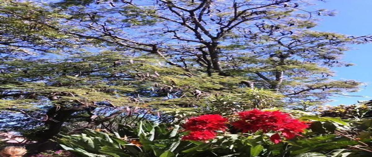 Foto de terreno habitacional en venta en galeana , antonio barona centro, cuernavaca, morelos, 20795878 No. 04