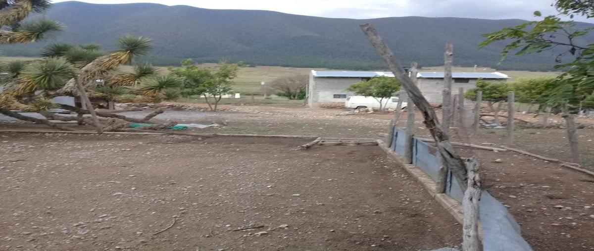 Foto de terreno habitacional en , galeana, galeana, nuevo león, 0 foto 04 Foto de terreno habitacional en venta en , galeana, galeana, nuevo león, 0 No. 04
