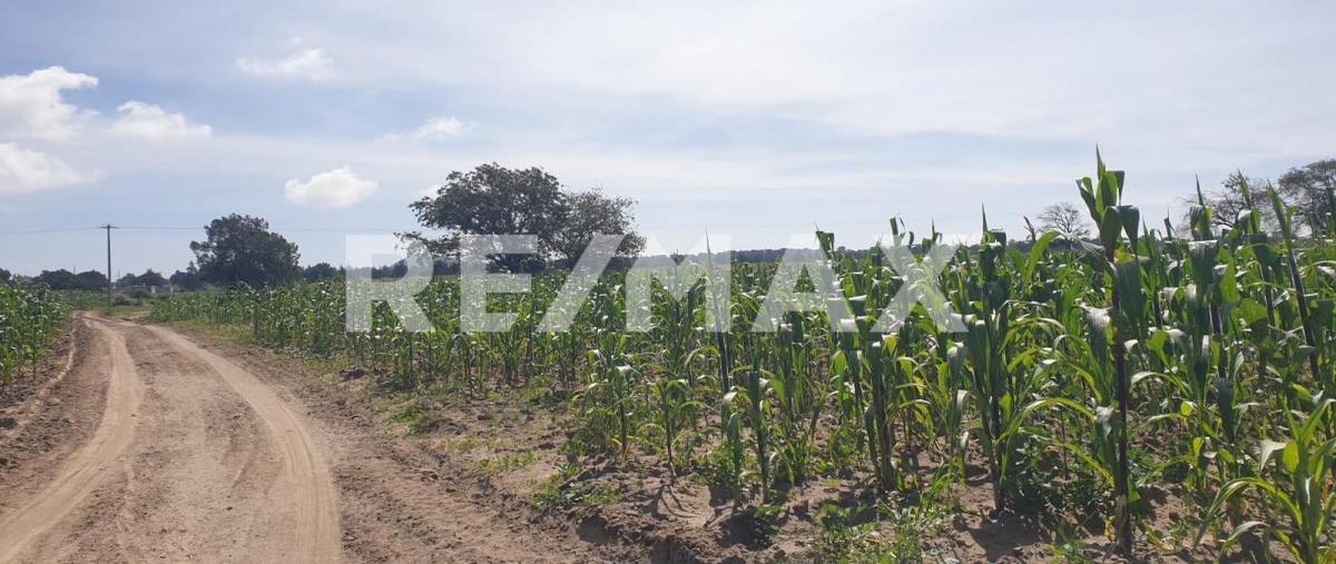 Foto de terreno habitacional en ganaderia coyotepec , del valle, cuapiaxtla, tlaxcala, 0 foto 03 Foto de terreno habitacional en venta en ganaderia coyotepec , del valle, cuapiaxtla, tlaxcala, 0 No. 03