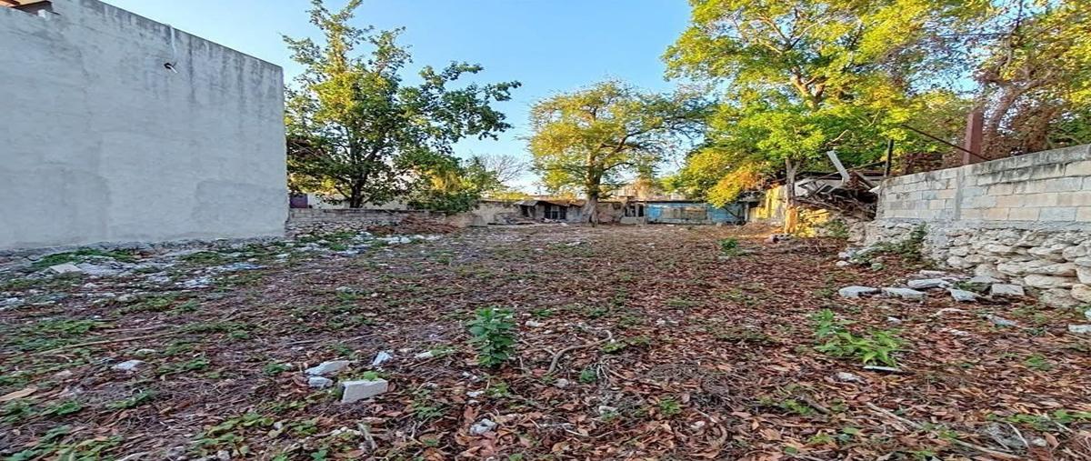 Foto de terreno habitacional en venta en  , garcia gineres, mérida, yucatán, 29810765 No. 04