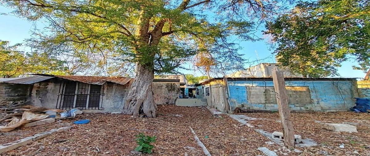 Foto de terreno habitacional en venta en  , garcia gineres, mérida, yucatán, 29810765 No. 05