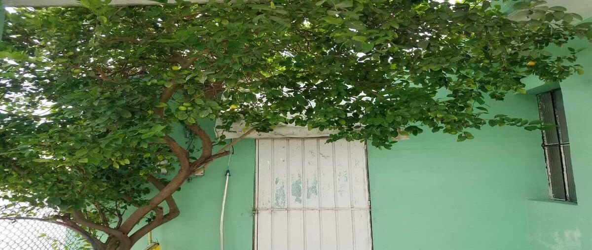 Foto de casa en venta en  , garcia gineres, mérida, yucatán, 30149803 No. 05