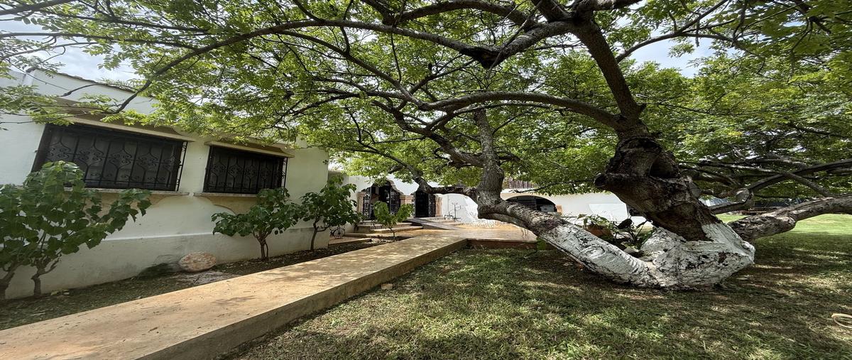 Foto de casa en renta en  , garcia gineres, mérida, yucatán, 30307661 No. 03