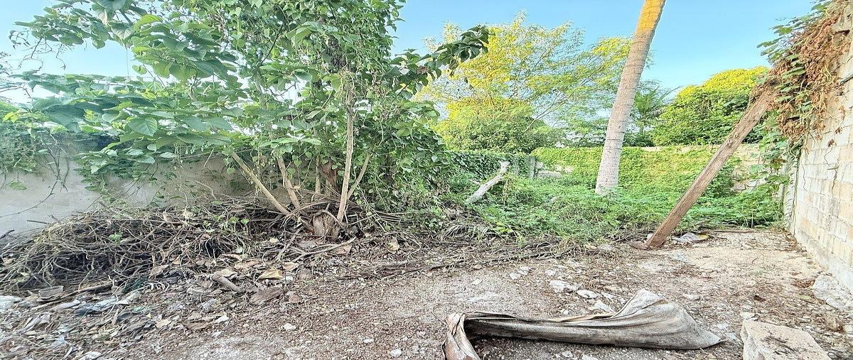 Foto de casa en venta en  , garcia gineres, mérida, yucatán, 0 No. 09