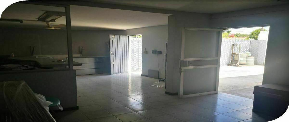 Foto de bodega en garcia gineres, mérida, yucatán , garcia gineres, mérida, yucatán, 20728778 foto 05 Foto de bodega en venta en garcia gineres, mérida, yucatán , garcia gineres, mérida, yucatán, 20728778 No. 05