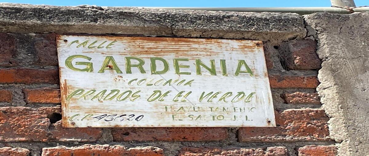 Foto de terreno industrial en venta en gardenia , el verde, el salto, jalisco, 29370145 No. 05