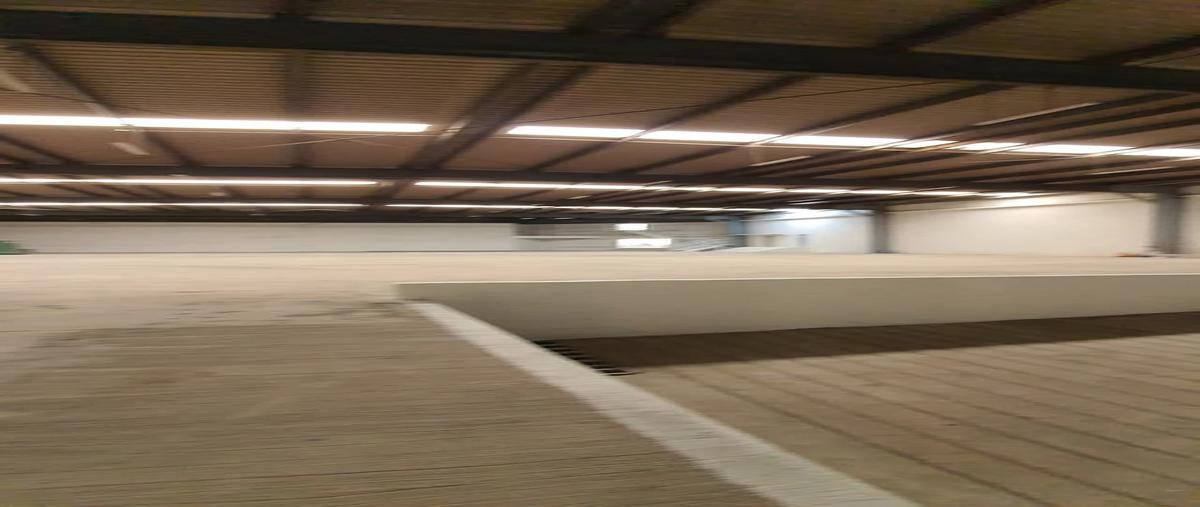 Foto de bodega en renta en  , garita otay, tijuana, baja california, 0 No. 05