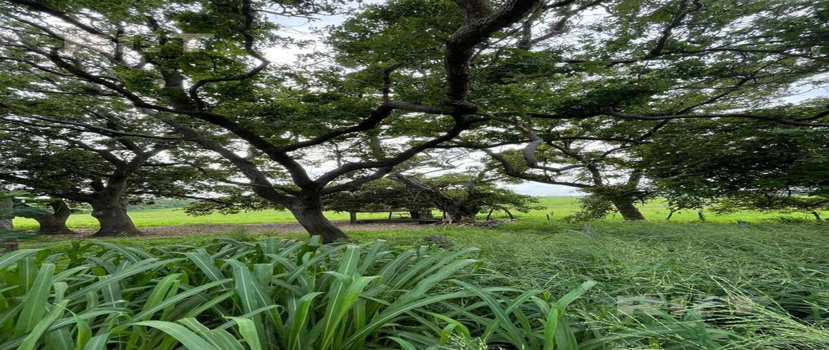Foto de rancho en venta en  , garrapatas, tampico alto, veracruz de ignacio de la llave, 0 No. 04
