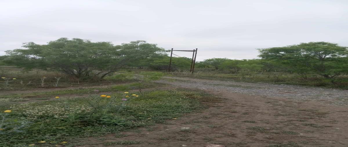 Foto de rancho en garza ayala , sabinas hidalgo centro, sabinas hidalgo, nuevo león, 28601532 foto 01 Foto de rancho en venta en garza ayala , sabinas hidalgo centro, sabinas hidalgo, nuevo león, 28601532 No. 01