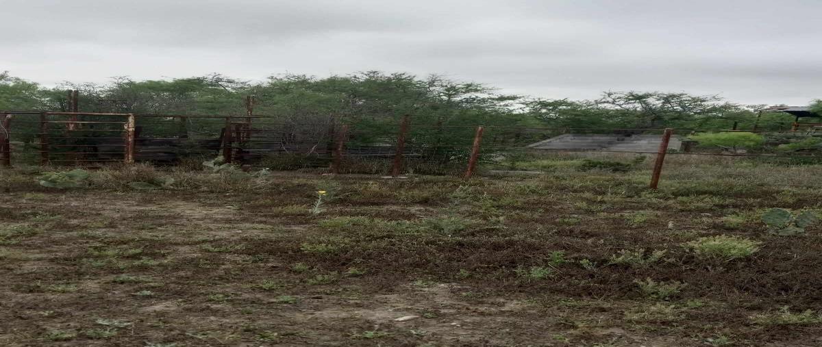 Foto de rancho en garza ayala , sabinas hidalgo centro, sabinas hidalgo, nuevo león, 28601532 foto 02 Foto de rancho en venta en garza ayala , sabinas hidalgo centro, sabinas hidalgo, nuevo león, 28601532 No. 02