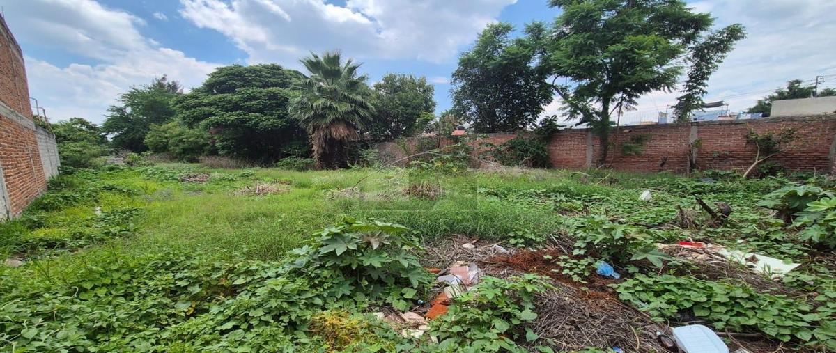 Foto de terreno comercial en venta en gavilan 832, san miguelito, irapuato, guanajuato, 30198138 No. 03