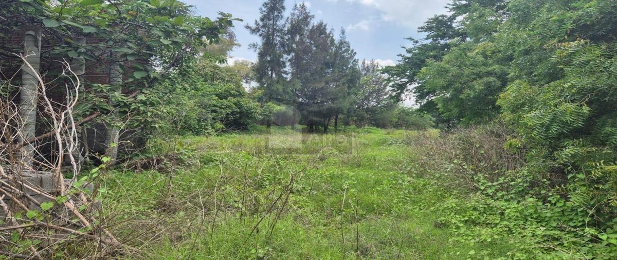 Foto de terreno comercial en venta en gavilan 832, san miguelito, irapuato, guanajuato, 30198138 No. 04