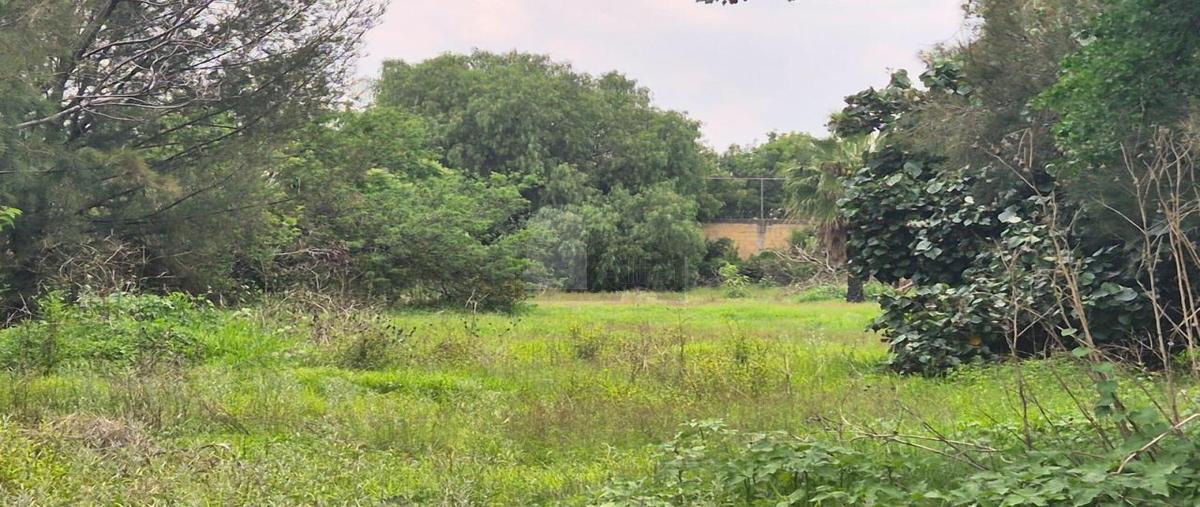 Foto de terreno comercial en venta en gavilan 832, san miguelito, irapuato, guanajuato, 30198138 No. 05