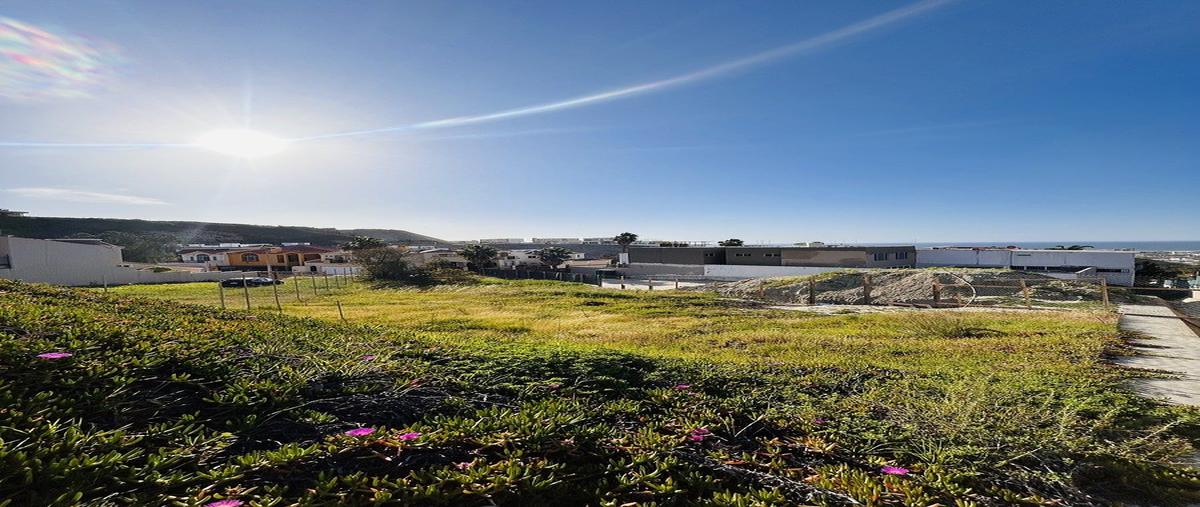 Foto de terreno habitacional en venta en gaviota , playas de tijuana, tijuana, baja california, 30978784 No. 03