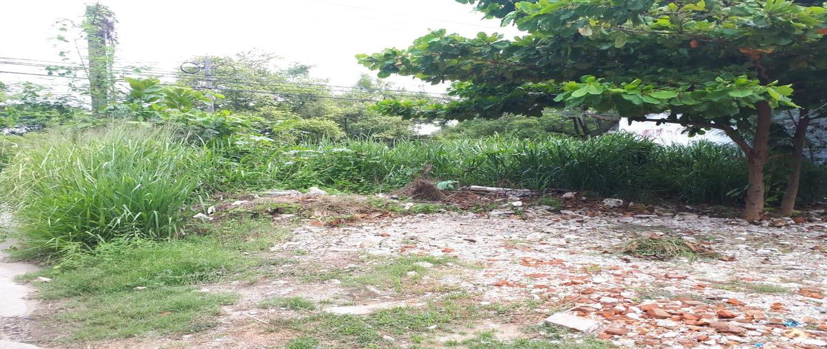 Foto de terreno habitacional en renta en  , gaviotas norte, centro, tabasco, 0 No. 02