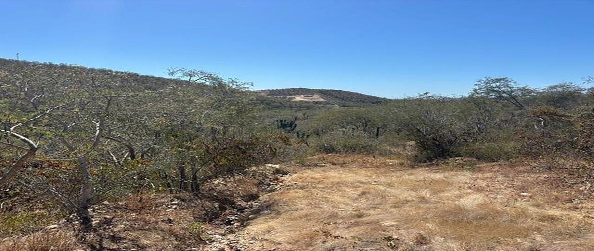 Foto de terreno habitacional en general agustin olachea a , animas bajas, los cabos, baja california sur, 0 foto 01 Foto de terreno habitacional en venta en general agustin olachea a , animas bajas, los cabos, baja california sur, 0 No. 01