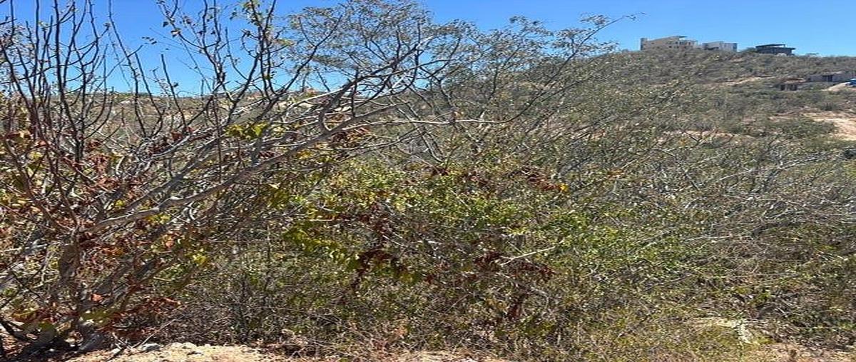 Foto de terreno habitacional en general agustin olachea a , animas bajas, los cabos, baja california sur, 0 foto 03 Foto de terreno habitacional en venta en general agustin olachea a , animas bajas, los cabos, baja california sur, 0 No. 03
