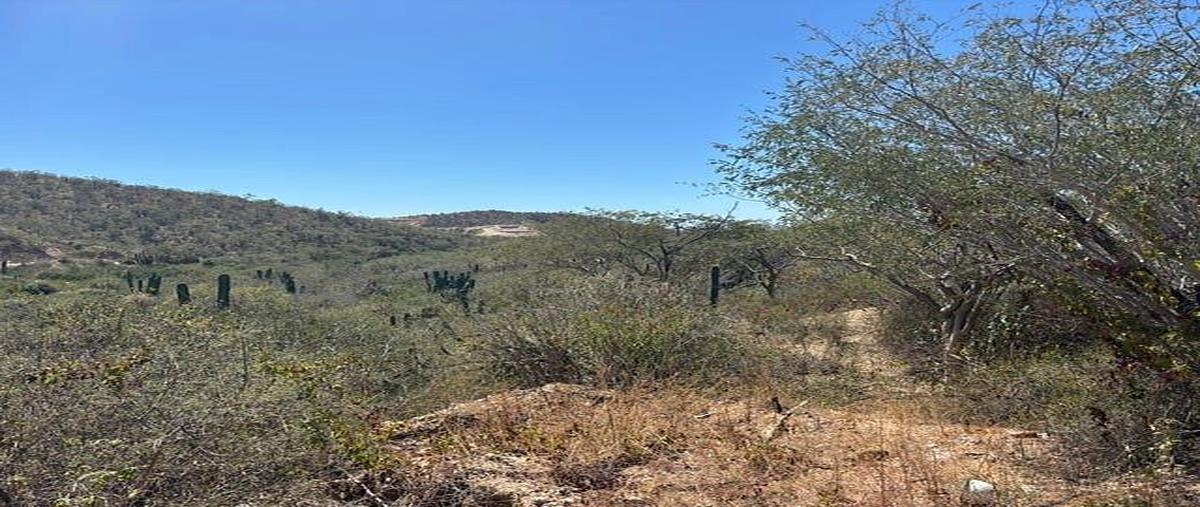 Foto de terreno habitacional en general agustin olachea a , animas bajas, los cabos, baja california sur, 0 foto 06 Foto de terreno habitacional en venta en general agustin olachea a , animas bajas, los cabos, baja california sur, 0 No. 06