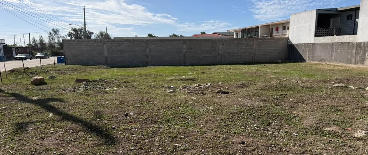 Foto de terreno habitacional en venta en general anastasio bustamante , reforma, playas de rosarito, baja california, 0 No. 05