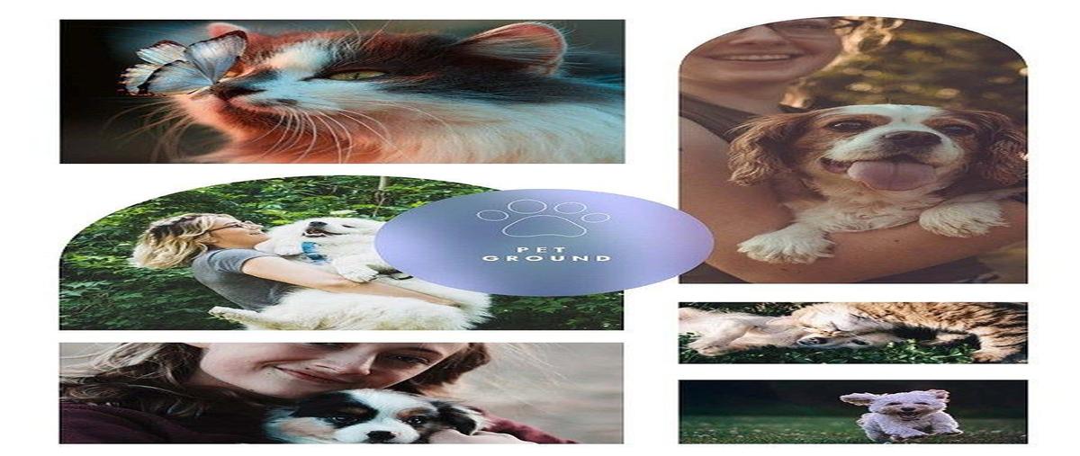 Foto de departamento en venta en general eulogio parra , prados de providencia, guadalajara, jalisco, 0 No. 05